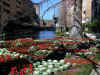 Riverwalk.JPG (807153 bytes)