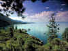 nature19.jpg (109321 bytes)